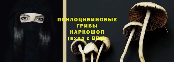 a pvp Армянск